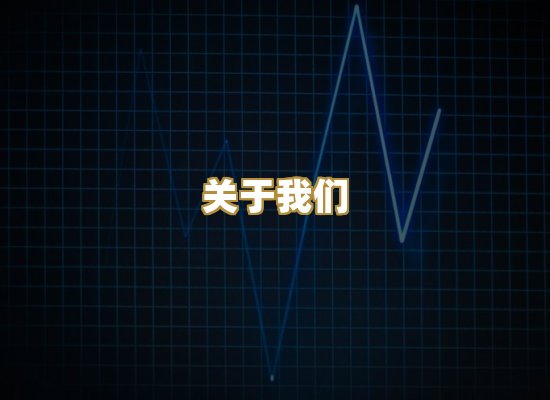 关于我们